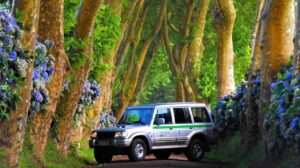 azores private jeep tour